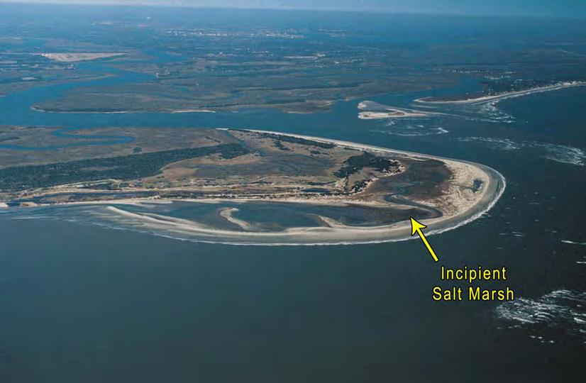Shoals 1 and 2 added upward of 5 million cubic yards to Kiawah in the 1990s.