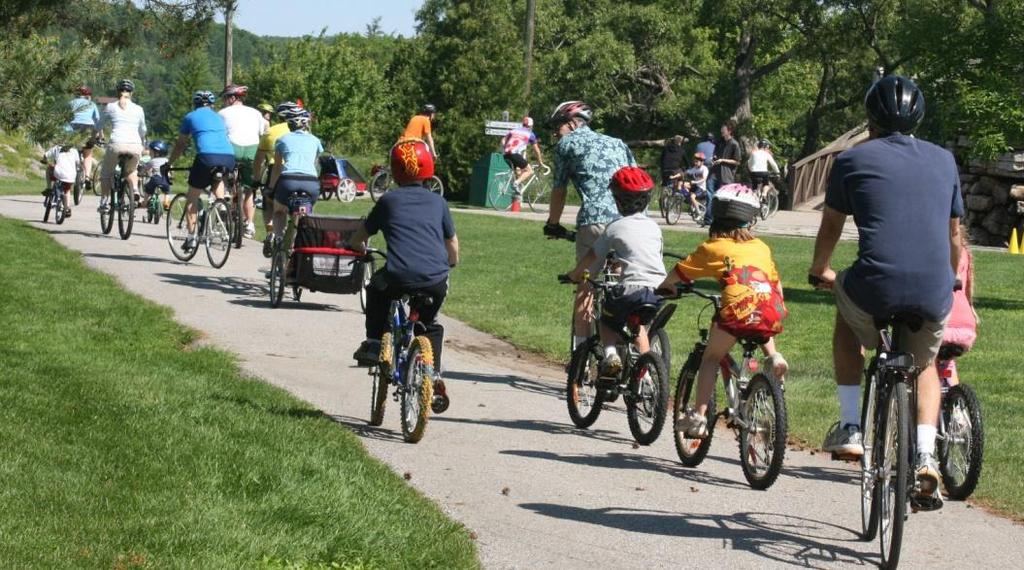 Assessments Organize community events that promote physical activity Organize campaigns to promote walking & cycling