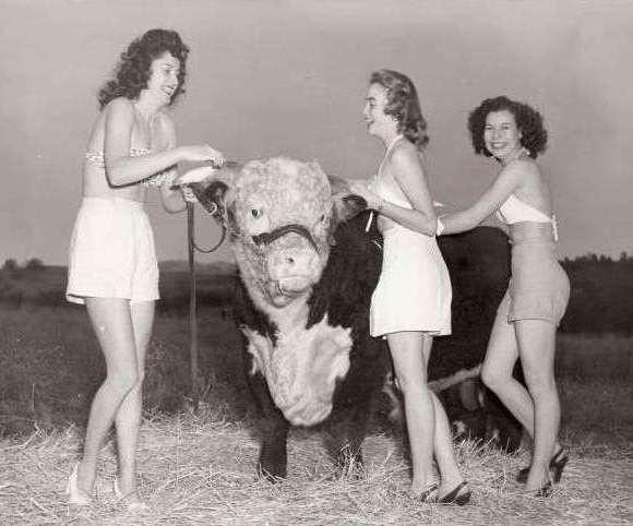 Photo taken in 1949 at Red Bluff Bull Sale, CA