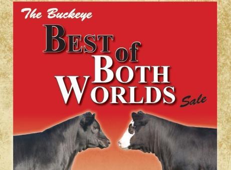 Ohio Simmental Association Newsletter Providing leadership for Ohio s Simmental breeders and enthusiasts ********** September 10, 2018 The Buckeye Best of Both Worlds Sale Notes from the Board of