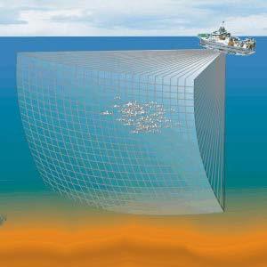 Marine biology echo sounders & sonars
