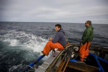 AAFA Continued END RESULT: AAFA customers buy directly from the fishermen; traceable & audited