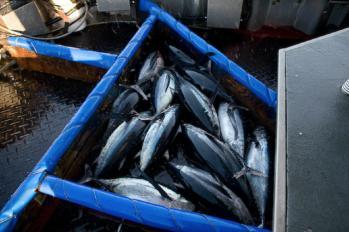 consistency, and traceability needed for success Sustainable fisheries require market-based