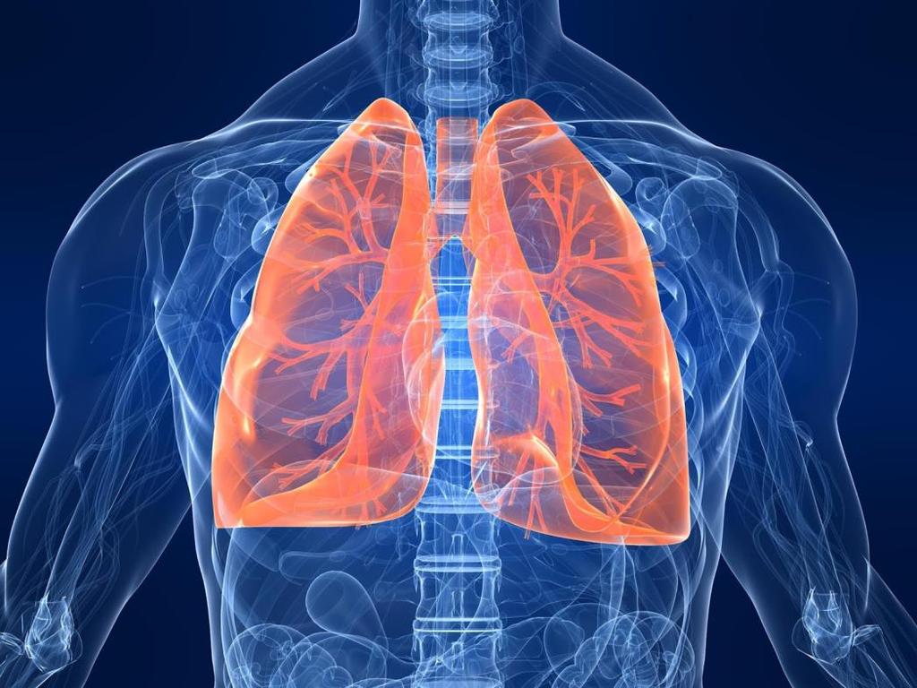 Respiratory System This involves the LUNGS and works closely with the