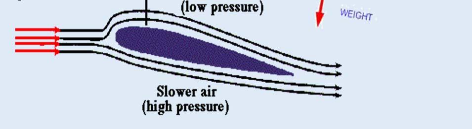 The movement of air is called aerodynamics and is what Makes it possible for animals and airplanes to fly.
