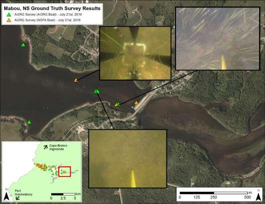 Figure 3.25: Mabou underwater photo ground truth. Background image is RCD30 orthophoto RGB mosaic. Figure 3.