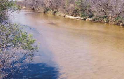 Chikaskia River is mostly a sand/silt bottom stream in Sumner County.