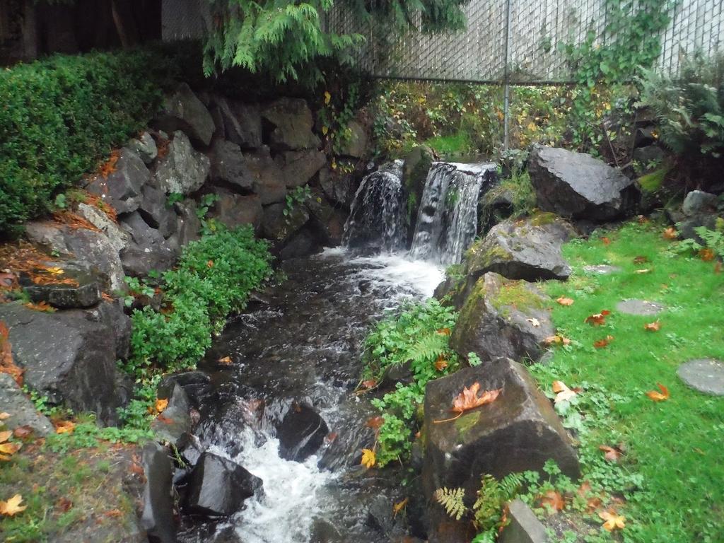 Unfortunately, last year s salmon return was fewer than it has been in the past several years, according to the residents who live along the creek.