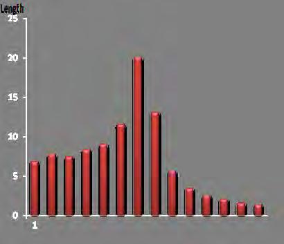 Length frequency distribution of L. nebulosus Through 1998 and 2008 % 5.