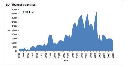 Figure 5 Blackfin tuna catches in the Atlantic Ocean between 1950 and 2013 (ICCAT 2014). Importance to the US/North American market.