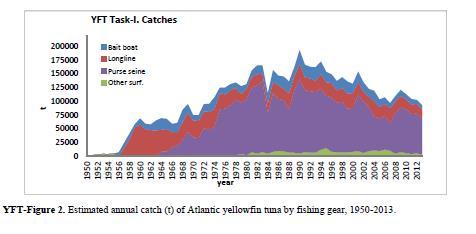 By 2007, catches of yellowfin tuna throughout the Atlantic had declined by nearly 50%, from 194,000 t in 1990 to 100,000 t.
