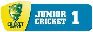 Stage 1 Cricket Illawarra Junior Playing Conditions (2018/19) Application a) Cricket Illawarra Junior Stage 1 Formats Level 1 & Level 2.