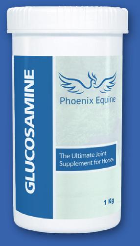WELCOME TO THE PHOENIX EQUINE RANGE OF EQUINE SUPPLEMENTS The result of extensive research and development with world leading Professors, Vets and Horse Professionals.