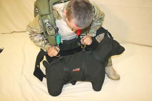 Release the right carabiner fi rst to maintain control of the Live-K9 s head. Figure 63.