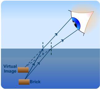 Refraction of light is the reason we see phantom images when a straw is placed in a cup of water.