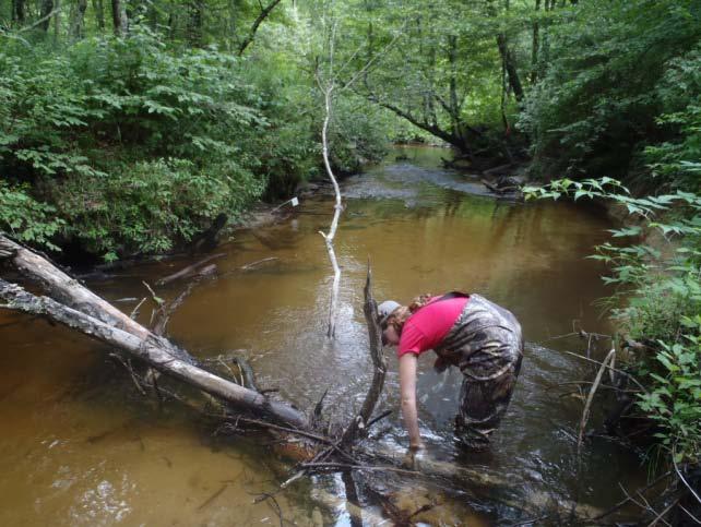 study reaches visual percent cover estimates were made for each riparian vegetation type, tree canopy, aquatic vegetation, stream substrate type, and bank conditions.