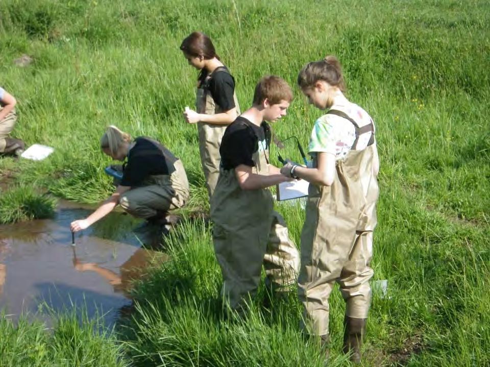 The students measured stream temperature, ph, turbidity, dissolved