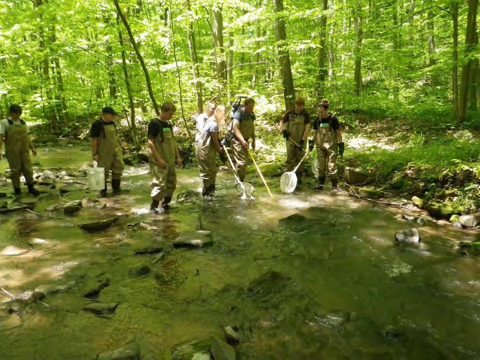 We electrofished Cove Run below Camp Hickory and documented a naturally reproducing