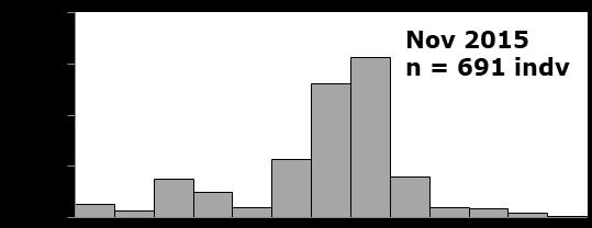 Frequency (%) Results The distribution of length frequency. The size of T.