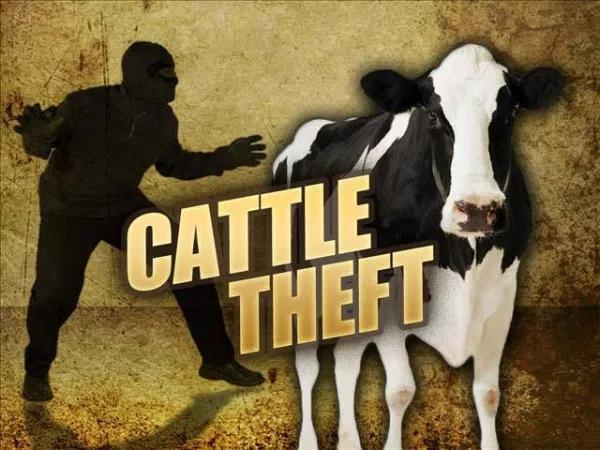 Through the 1870 s, the cattle industry was seen as a sure way to make money: costs were low (free grass, almost free land, cheap transportation by