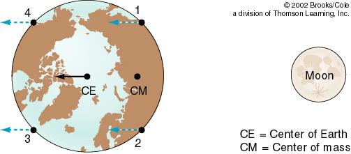 Earth and Moon orbit around common centre of mass which is ~1,000 miles below the surface of Earth Inertia and