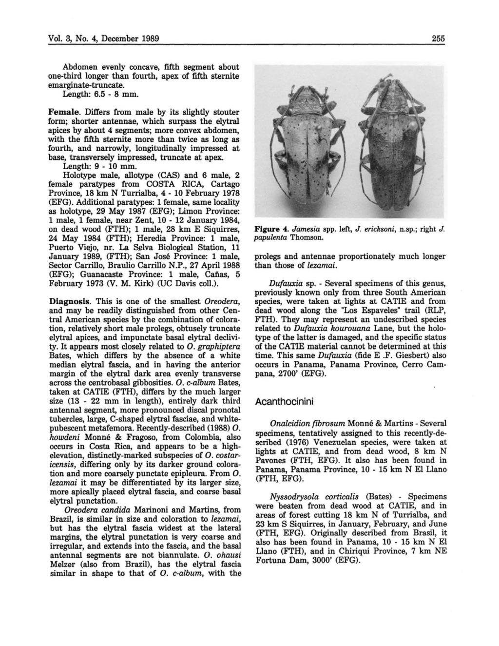 Vol. 3, No. 4, December 1989 255 Abdomen evenly wncave, firh segment about one-third longer than fourth, apex of fifth sternite emarginate-truncate. Length: 6.5-8 mm. Female.