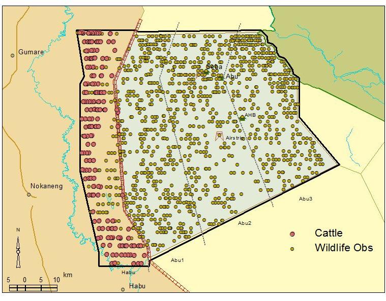 The Habu survey area is an important wildlife refuge, especially for the 2093 zebra we estimated in this farming area (Table 22).