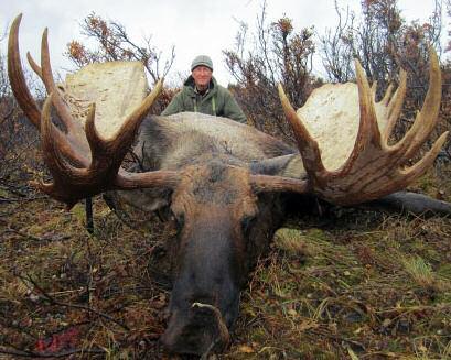 Northern B.C. Trophy Moose Hunt #9 This superb trophy moose hunt is based out of Dease Lake, with the hunting area only 60 miles from the Yukon border.