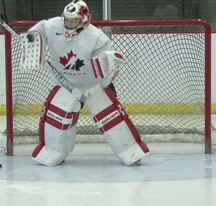 is based on the distance of the shot, strength of the shot, goalie s reaction time and size of goalie.