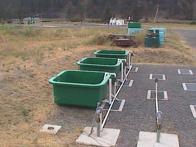 utilized for rearing juvenile Chinook salmon. Figure 4.