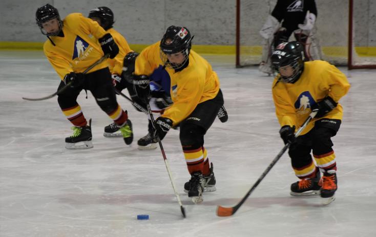 NOVICE DEVELOPMENT LEAGUE 2. SHIFTS o Player shifts will be 1.5 minutes (90 seconds) in length for Novice. A buzzer or whistle will sound to signal line changes.