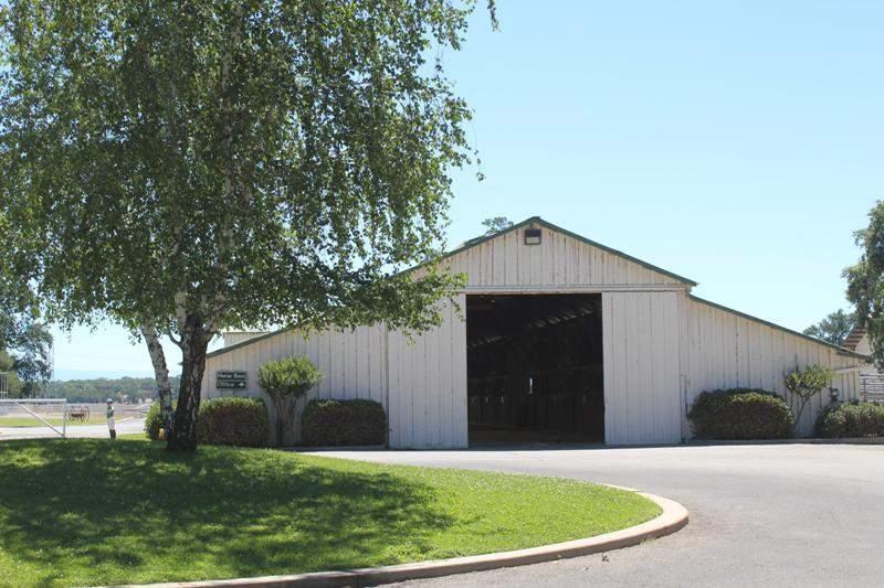 CATTLE / EQUESTRIAN Main barn This ranch is a cattle/equestrian lovers dream. The main wood barn is a little less than 10,000 sq feet with 11 stalls. 9 of the stalls have indoor and outdoor paddocks.
