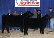 flush group of brothers bred for muscle, performance, and maternal value to make a lasting contribution.