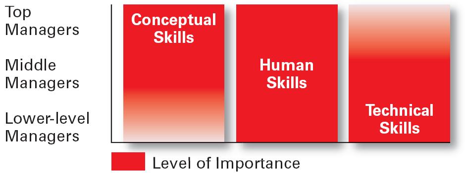 Skills Needed at Different