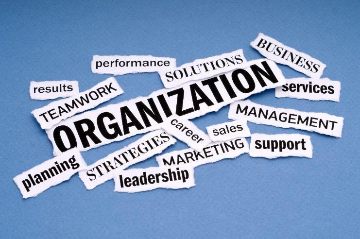What Is An Organization?