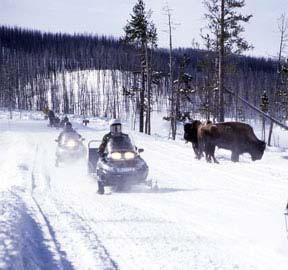 Runs up to six miles long and glades and bowls covered in 400~plus inches of annual snowfall make a day on the slopes