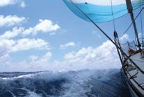 Course Length: 3 days Catamaran Endorsement Target Audience: Those looking to teach catamaran sailing Prerequisites: Cruising Instructor* Materials: Bareboat Cruising Course Overview: Cruise in a