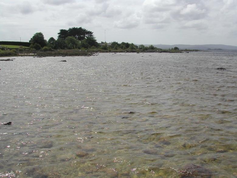 The largest lake surveyed was Lough Corrib No crayfish recorded at three