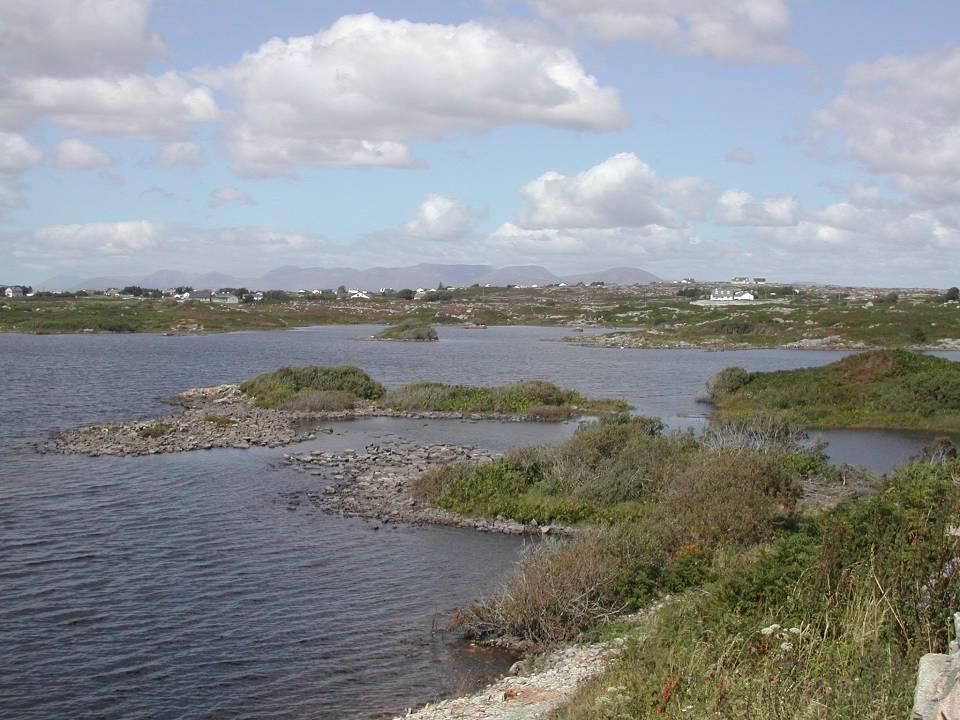 Loughaunwillian, Co Galway was the most westerly lake surveyed.