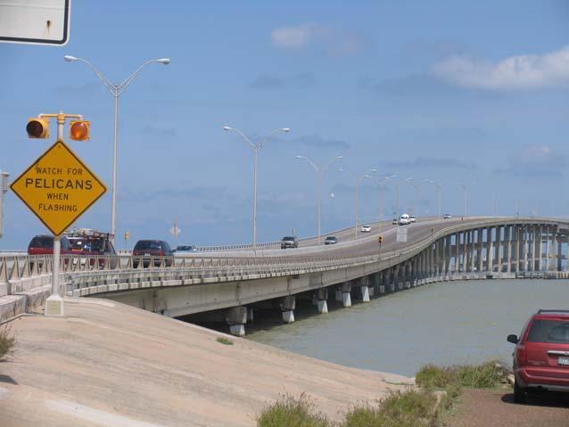 Warning system for Pelicans on Bridge to