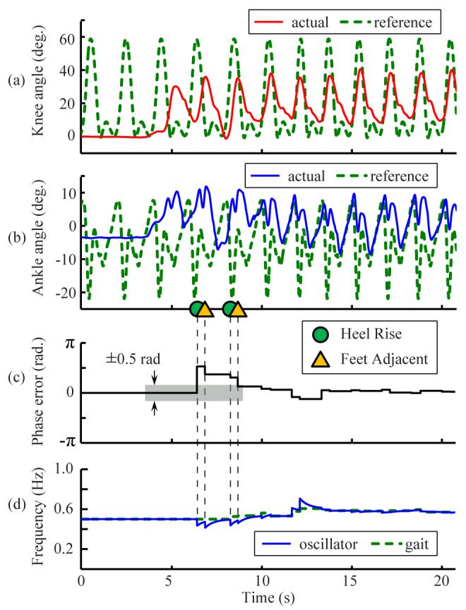 TBME-0485-205 8 oscillator ad the actual gait was detected (Fig. 7(c)). The frequecy of the adaptive oscillator was adapted accordig to (5) (Fig.