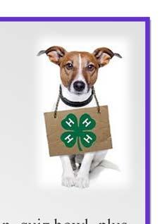 2016 Kansas 4-H Dog Conference and Quiz Bowl The Kansas 4-H Dog Conference and Quiz Bowl will be October 22-23 at Rock Springs 4-H Center. The theme is May the 4-H Dog Be with You.