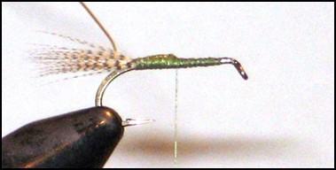 FLY OF THE MONTH Green Drake Emerger March 2017 Mike Lawson (as tied by Chet Allison) I started using this pattern a few years ago and found it to be