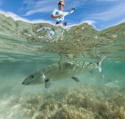 THE FISHING air s fishes primarily for Bbonefish, with occasional shots at Tarpon and Permit.