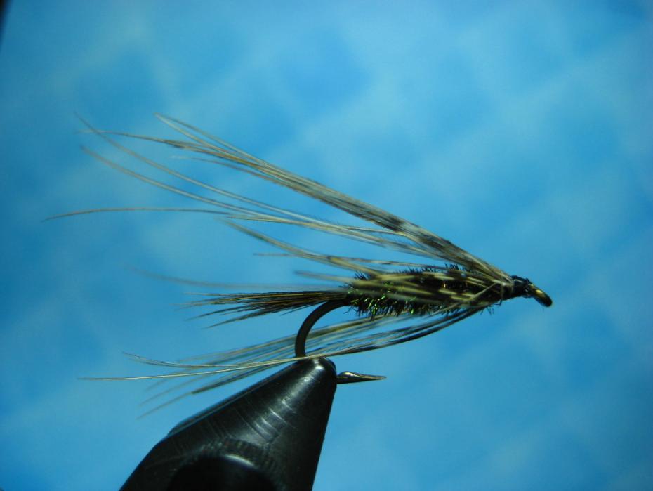 Page 3 PEACOCK CAREY SPECIAL The Carey Special originated in British Columbia by Tom Carey back in the late 1930s to be utilized as a trolling fly in stillwater.