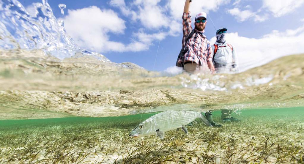 ABACO LODGE abaco island, bahamas Abaco is the only fly-fishing operation located on the famed Marls, a vast labyrinth of flats, mangroves, and bonefish in numbers like nowhere else in the Bahamas.