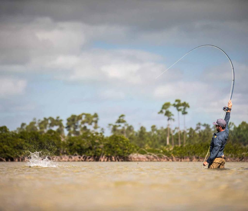 The Marls is a unique Bonefish habitat with miles of pristine flats full of eager
