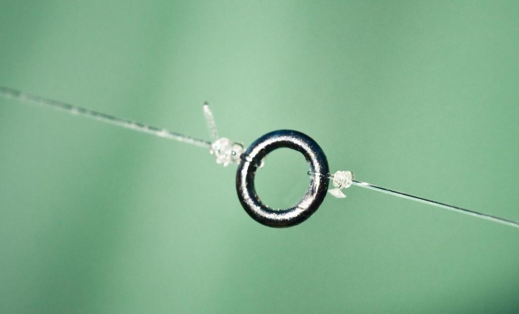 Page 4 Tippet Rings: Tippet Rings are great for lengthening the life of your leaders. Photo By: Louis Cahill Leaders have got quite expensive over the past couple decades.