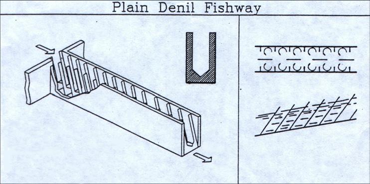 Appendix 3: Fishway Designs and Examples flow Fishway Exit Flow pattern Plain Denil Baffle Plan View flow Profile Fishway Entrance Denil Fishway - Slope: 10-25% - Resting pools are required