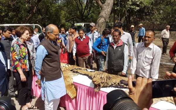 Glimpses of World Wildlife Day 2017 at National